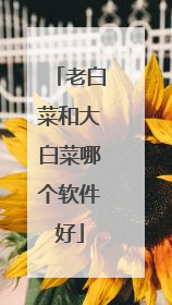 老白菜和大白菜哪个软件好