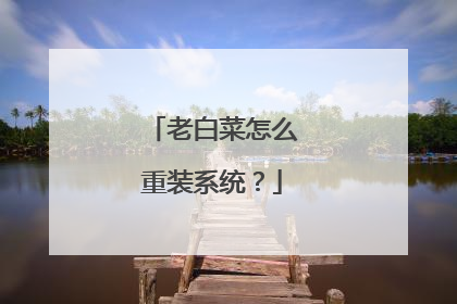 老白菜怎么重装系统?