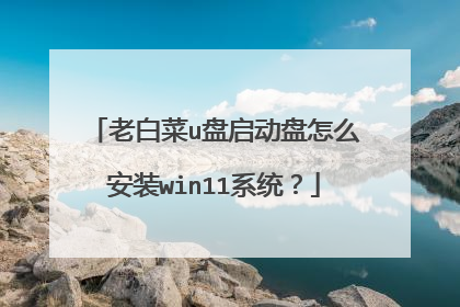老白菜u盘启动盘怎么安装win11系统？