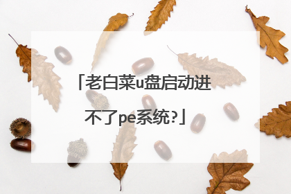 老白菜u盘启动进不了pe系统?