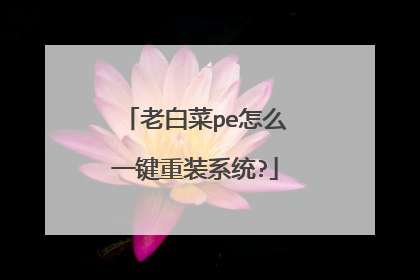 老白菜pe怎么一键重装系统?