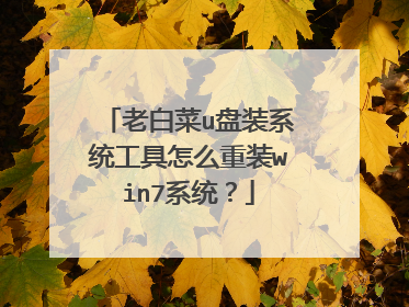 老白菜u盘装系统工具怎么重装win7系统?