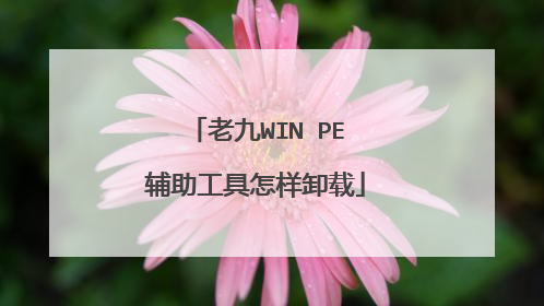 老九WIN PE辅助工具怎样卸载