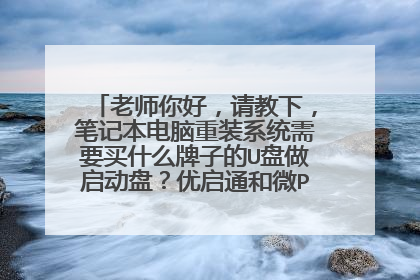 老师你好,请教下,笔记本电脑重装系统需要买什么牌子的U盘做启动盘?优启通和微PE哪个更纯净?谢谢