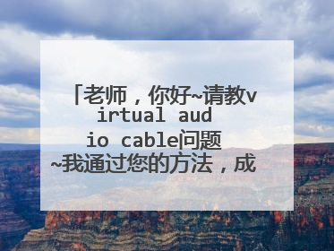 老师,你好~请教virtual audio cable问题~我通过您的方法,成功启动屏幕录像专家