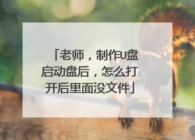 老师，制作U盘启动盘后，怎么打开后里面没文件