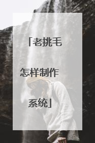 老挑毛怎样制作系统
