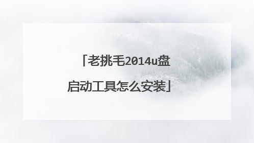 老挑毛2014u盘启动工具怎么安装
