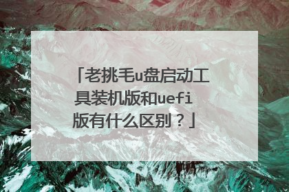 老挑毛u盘启动工具装机版和uefi版有什么区别?