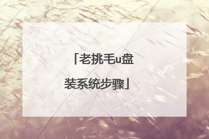 老挑毛u盘装系统步骤