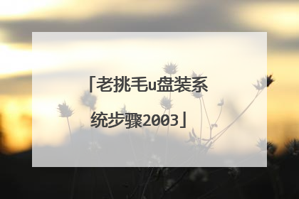 老挑毛u盘装系统步骤2003