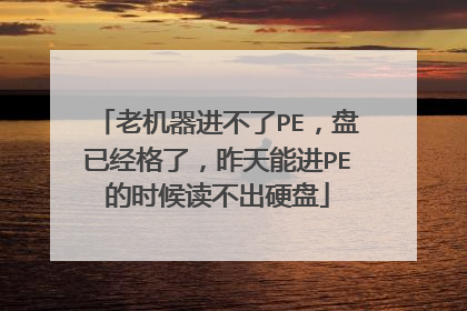 老机器进不了PE,盘已经格了,昨天能进PE的时候读不出硬盘