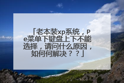 老本装xp系统，Pe菜单下键盘上下不能选择，请问什么原因，如何何解决？？