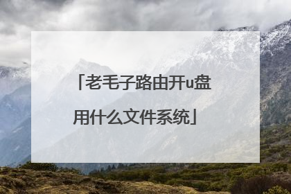 老毛子路由开u盘用什么文件系统
