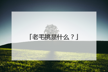 老毛挑是什么?