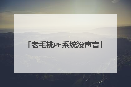 老毛挑PE系统没声音