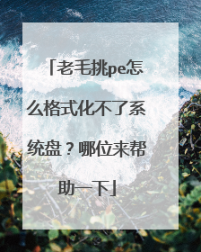 老毛挑pe怎么格式化不了系统盘?哪位来帮助一下
