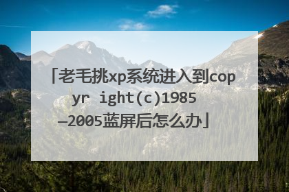 老毛挑xp系统进入到copyr ight(c)1985—2005蓝屏后怎么办