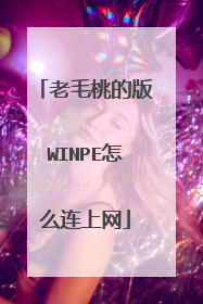 老毛桃的版WINPE怎么连上网