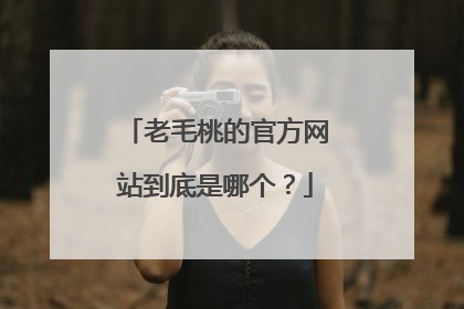 老毛桃的官方网站到底是哪个?