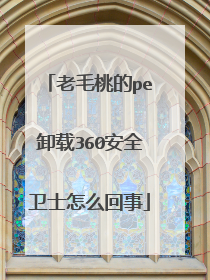 老毛桃的pe卸载360安全卫士怎么回事