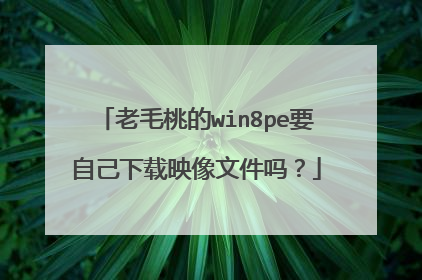 老毛桃的win8pe要自己下载映像文件吗？