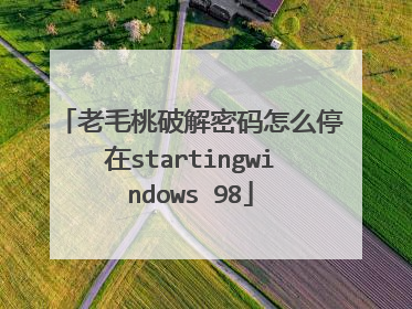 老毛桃破解密码怎么停在startingwindows 98