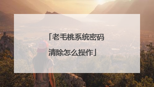 老毛桃系统密码清除怎么操作