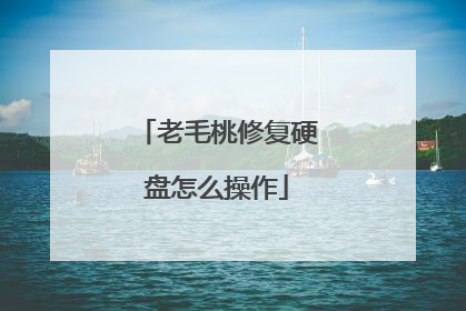 老毛桃修复硬盘怎么操作