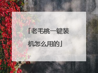 老毛桃一键装机怎么用的