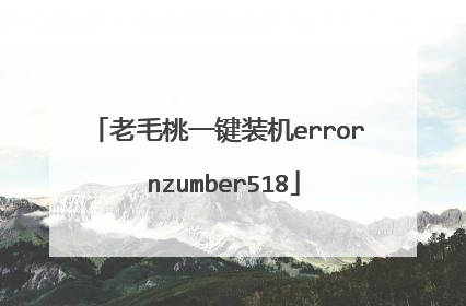 老毛桃一键装机error nzumber518
