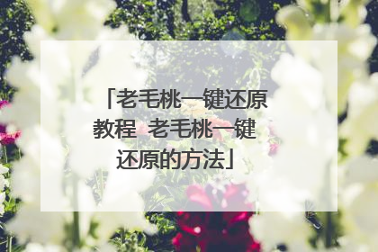 老毛桃一键还原教程 老毛桃一键还原的方法