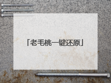 老毛桃一键还原