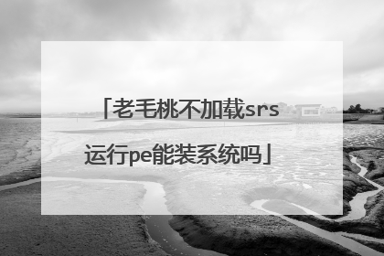 老毛桃不加载srs运行pe能装系统吗