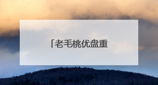老毛桃优盘重装系统里面怎么没有映像文件