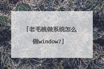 老毛桃做系统怎么做window7