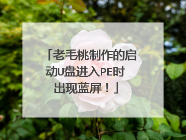 老毛桃制作的启动U盘进入PE时出现蓝屏!