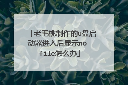 老毛桃制作的u盘启动器进入后显示no file怎么办