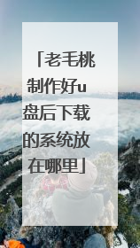 老毛桃制作好u盘后下载的系统放在哪里