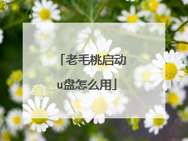 老毛桃启动u盘怎么用