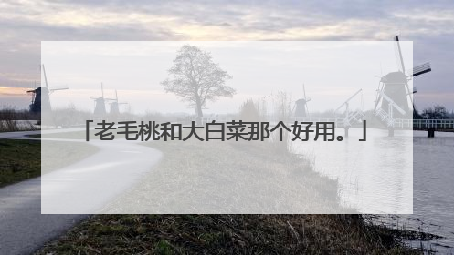 老毛桃和大白菜那个好用。