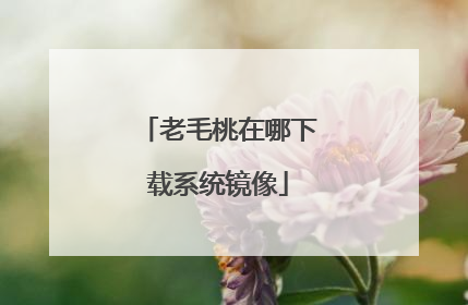 老毛桃在哪下载系统镜像