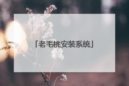 老毛桃安装系统