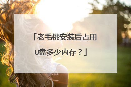 老毛桃安装后占用U盘多少内存?