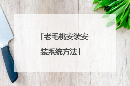 老毛桃安装安装系统方法