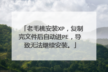 老毛桃安装XP,复制完文件后自动进PE,导致无法继续安装。
