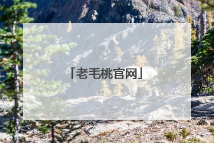 老毛桃官网