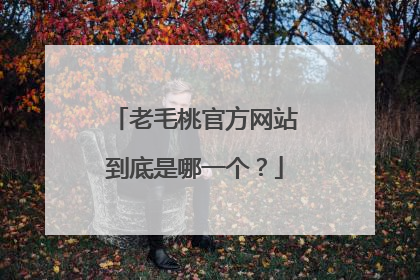 老毛桃官方网站到底是哪一个?