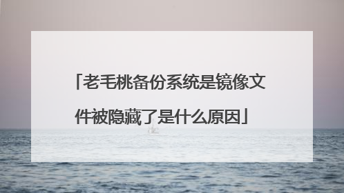 老毛桃备份系统是镜像文件被隐藏了是什么原因