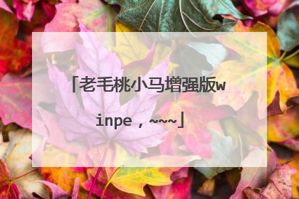 老毛桃小马增强版winpe,~~~